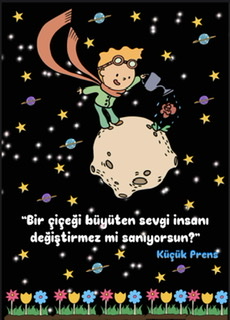 A4 Küçük Prens Karne Kılıfı ARKA KAPAK 1