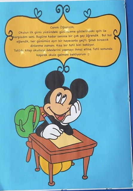 Mickey ve Minnie Karne Kılıfı ( Renkli Renksiz Arka Kapak)