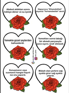 Peygamber Efendimizin Sünnetleri Küçük Boy