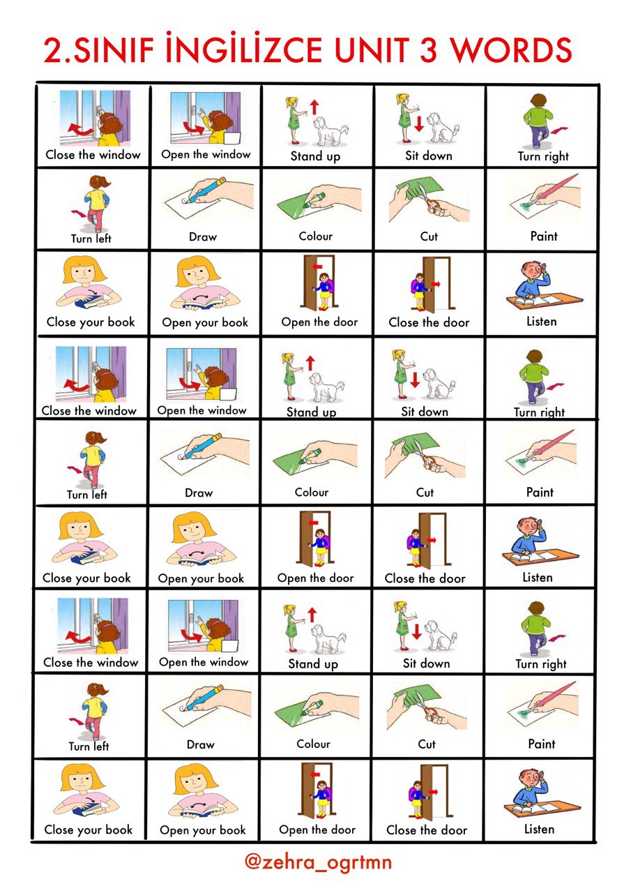 3. Ünite Deftere Yapıştırmalık Kelimeler ve Etkinlikler