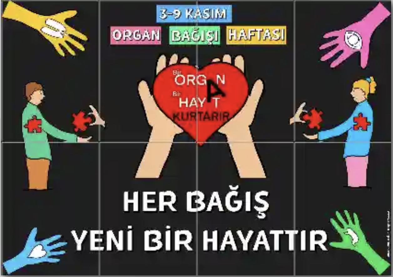 Organ Bağışı Haftası (8 A4 Pano RENKLİ )