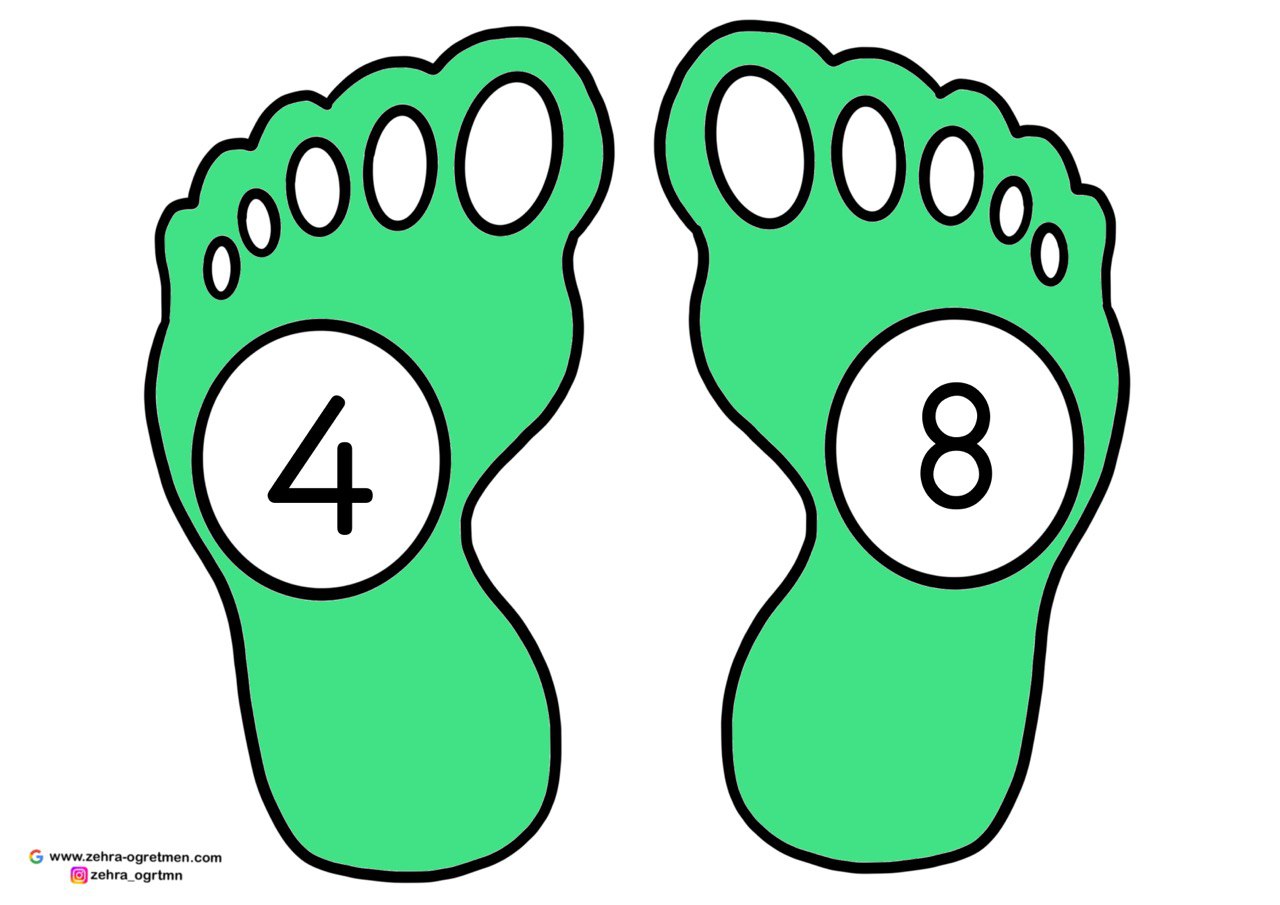 DÖRDER RİTMİK SAYMA ETKİNLİĞİ