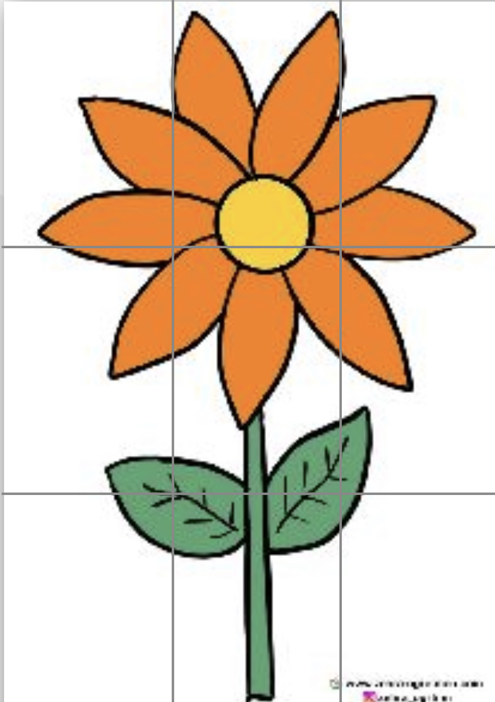 9 A4 Çiçekler Renkli Renksiz