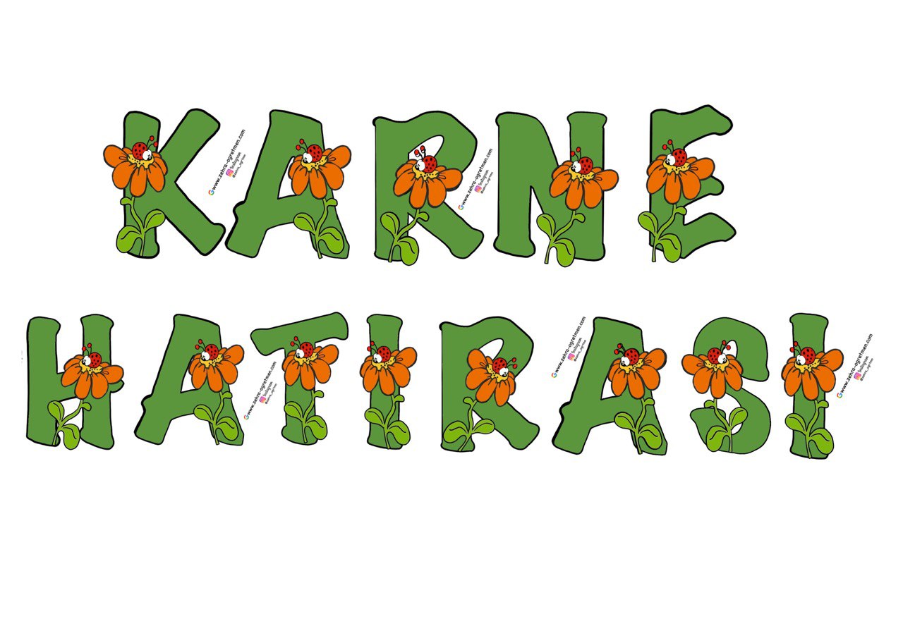 Uğurböcekli Karne Hatırası Flama