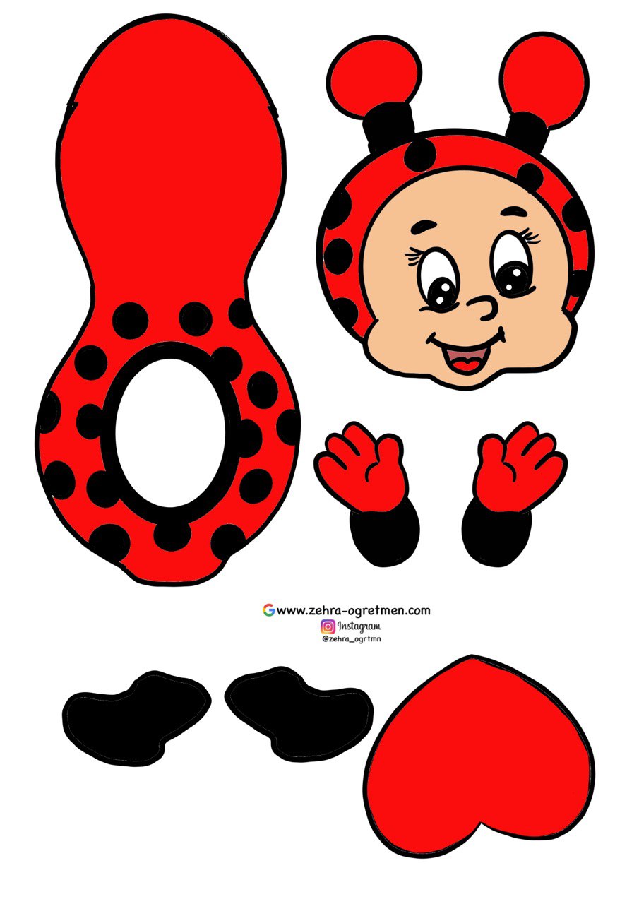 Uğurböceği Karne Kılıfı