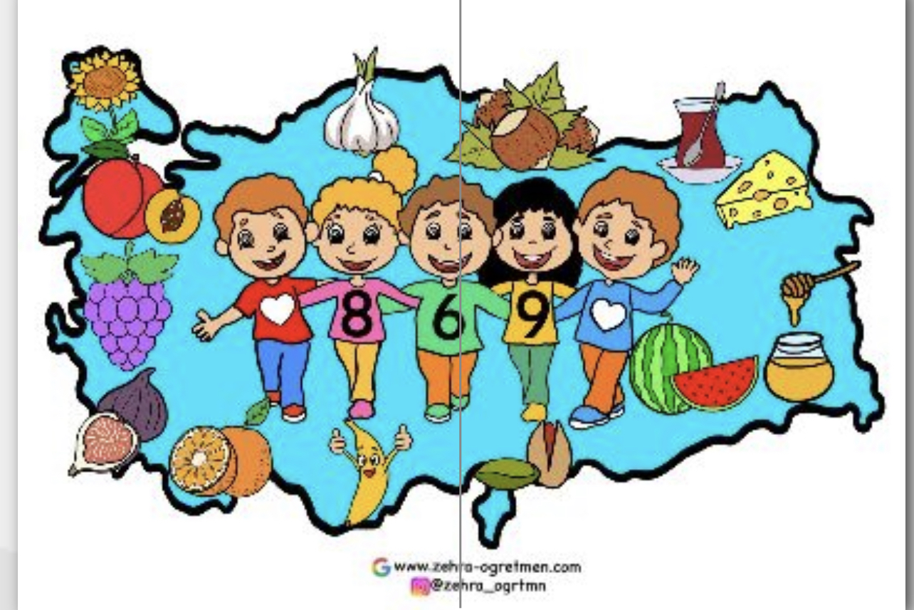 869 Yerli Malı Haritası Mavi Renk ( 2 A4)