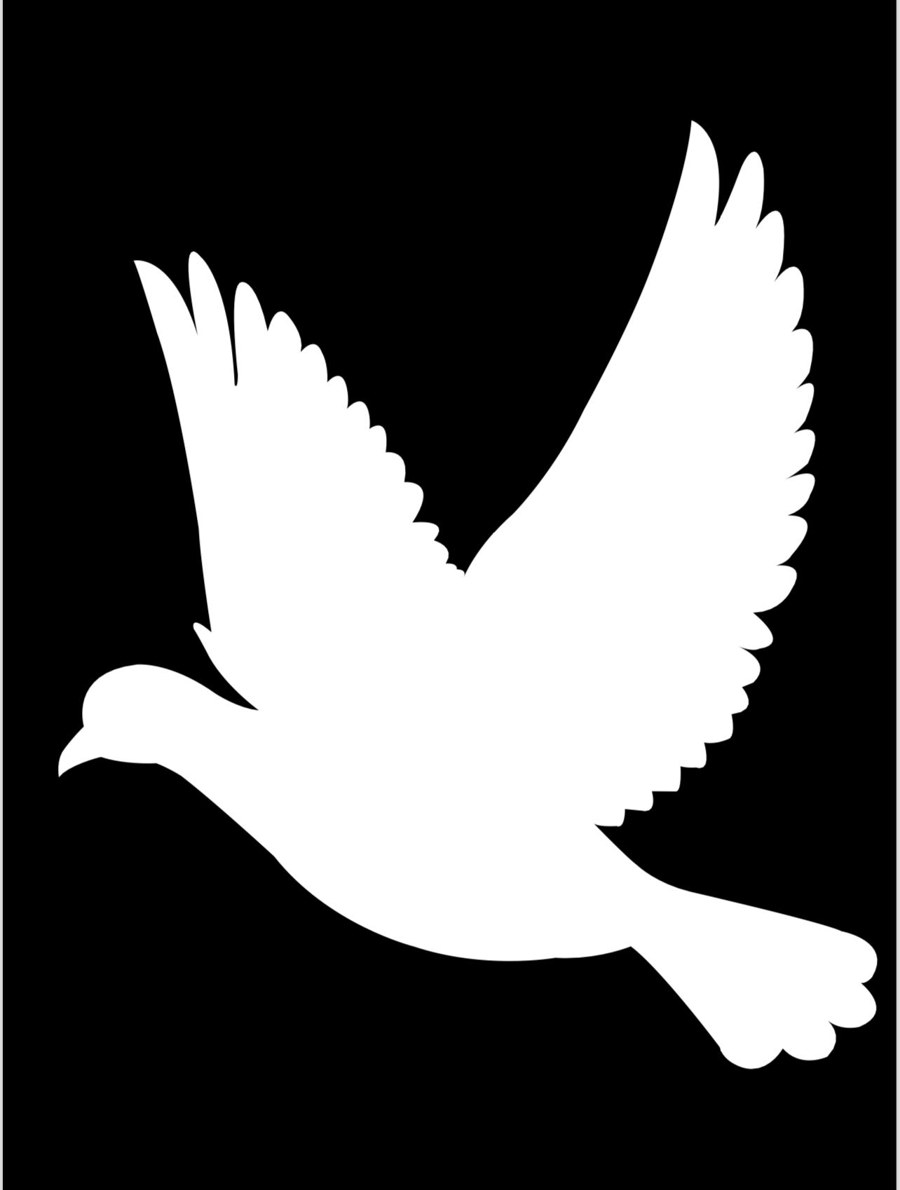 10 Kasım Pano 2 ( Kuşlar )