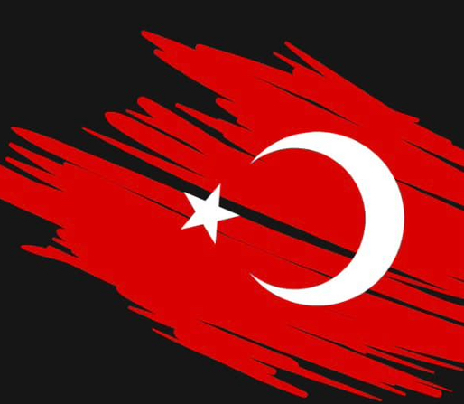 10 Kasım Pano 3 ( Bayrak 6 A4)