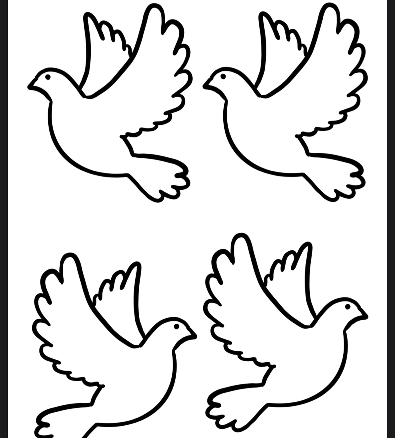 ( PANO 4) 10 Kasım Güvercinler