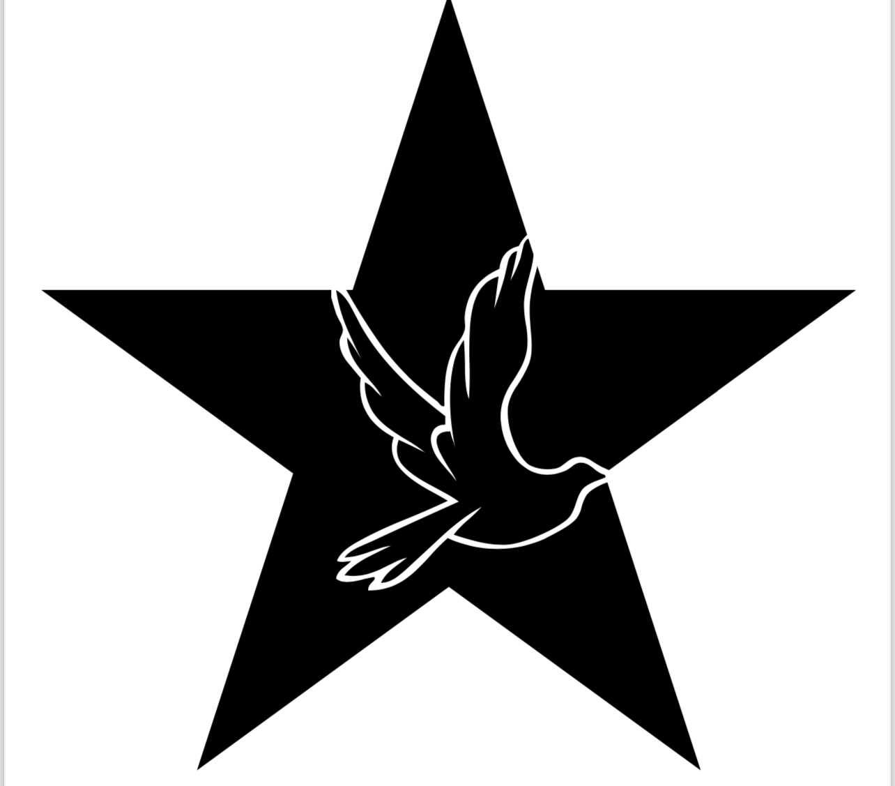 ( 10 Kasım Pano 6 ) Güvercinli Siyah Yıldızlar