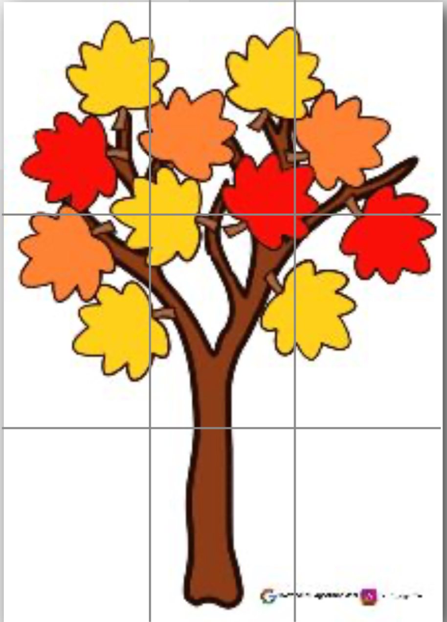 9 A4 Sonbahar Ağacı RENKLİ