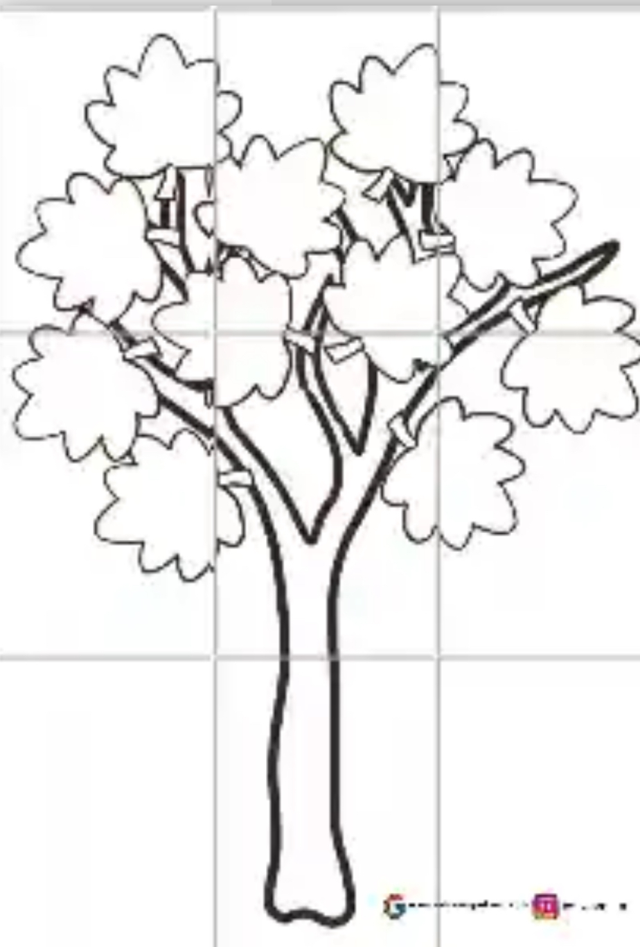 9 A4 Sonbahar Ağacı RENKSİZ