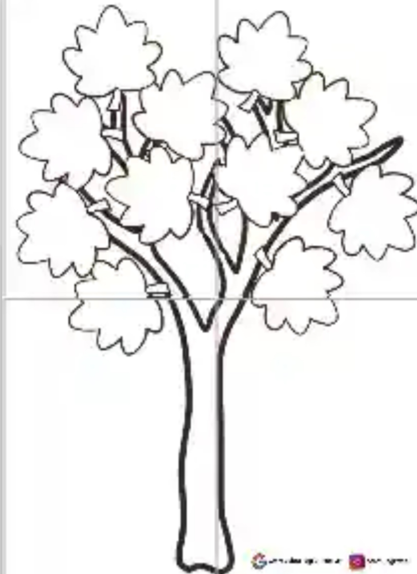 4 A4 Sonbahar Ağacı RENKSİZ