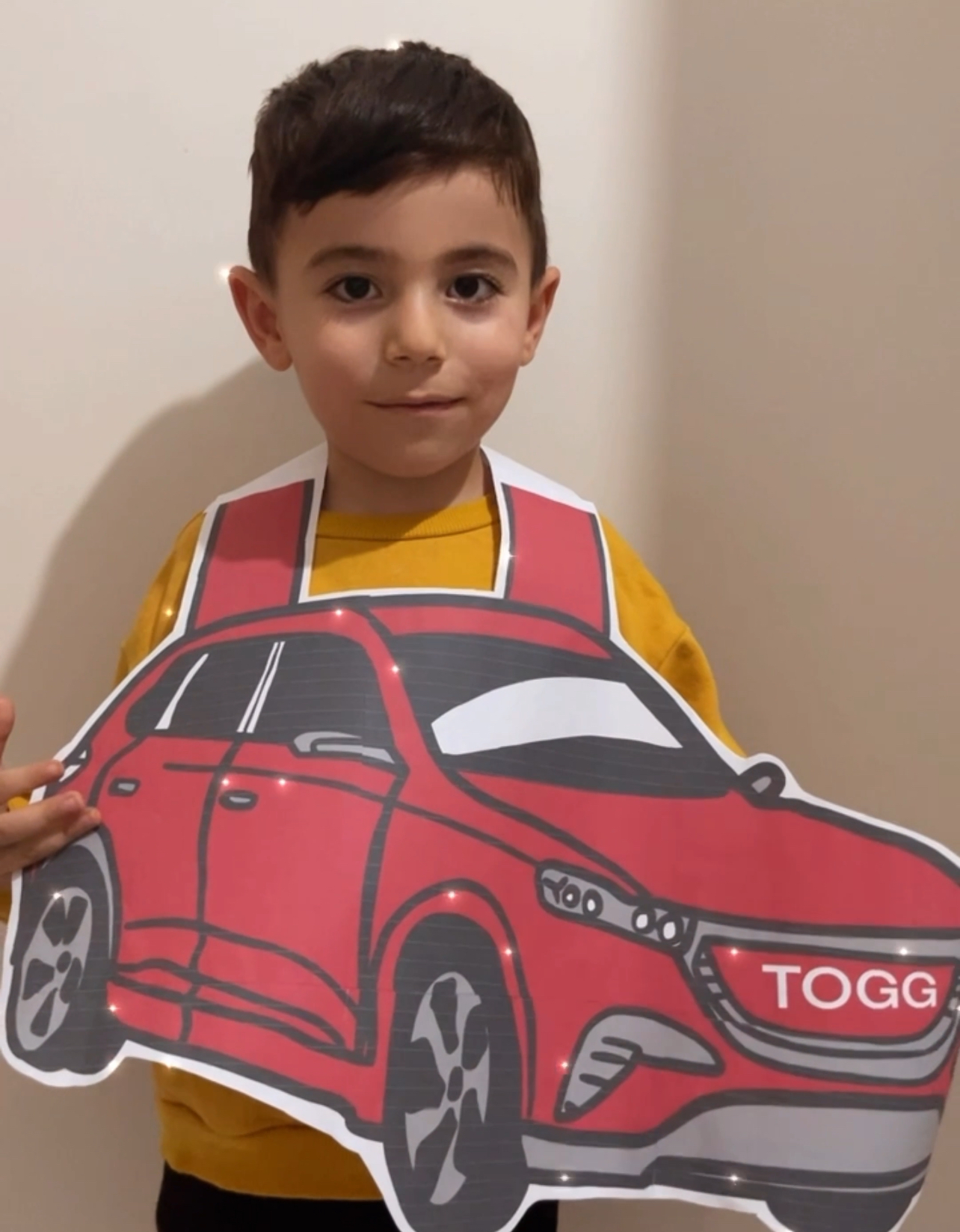 Yerli Arabamız TOGG 6 A4 RENKLİ