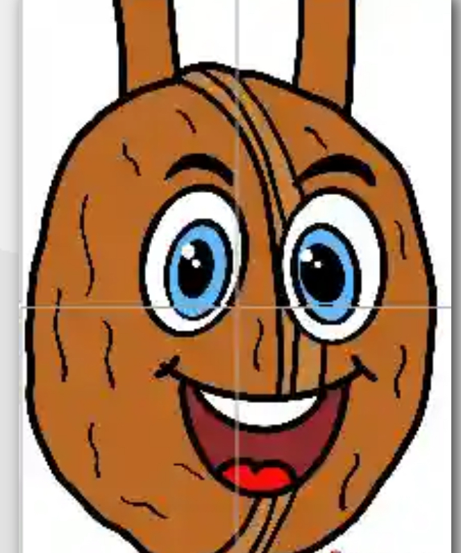 4 A4 Yerli Malı Ceviz Kostümü RENKLİ