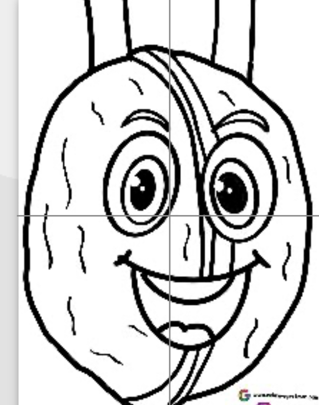 4 A4 Ceviz Kostümü RENKSİZ