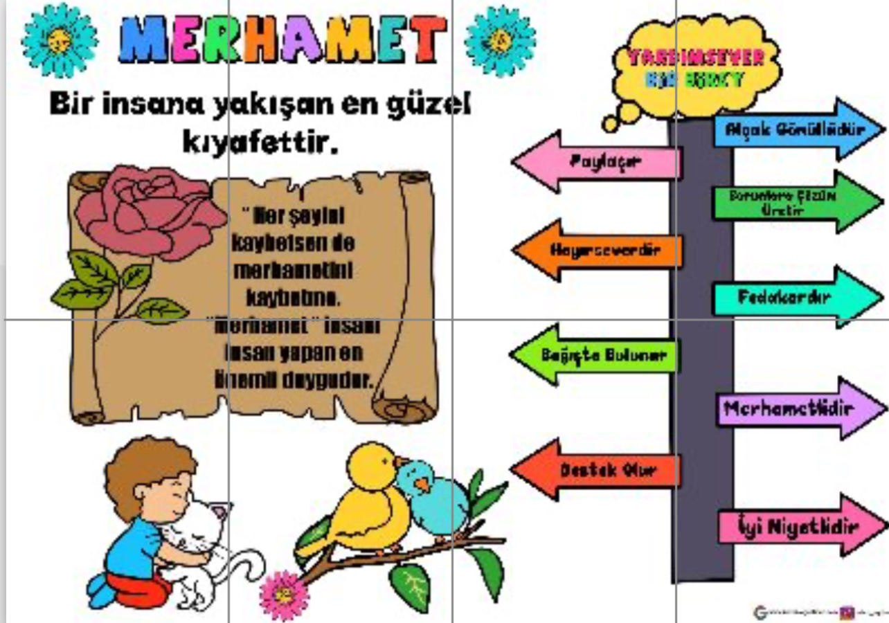 8 A4 Panonun Bütünü RENKLİ