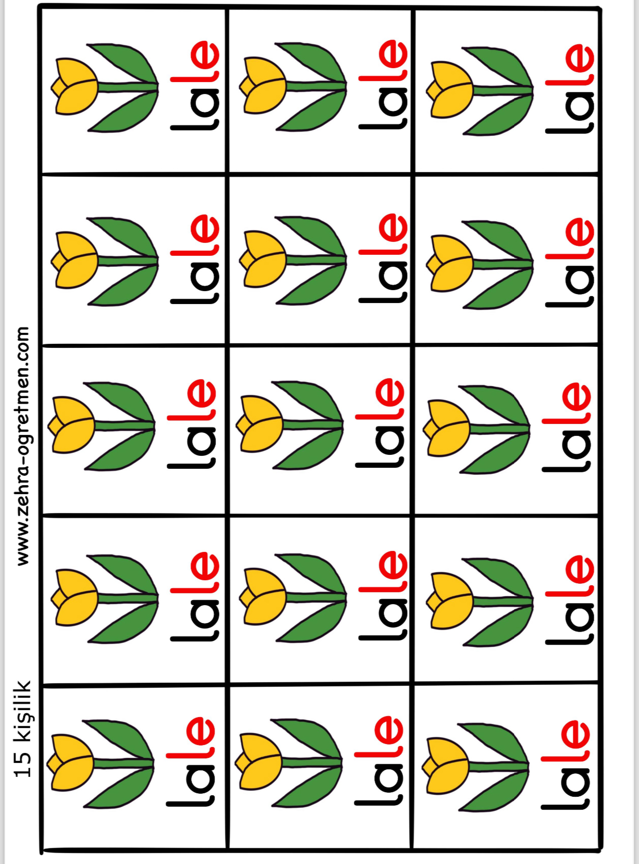 15 Öğrenci İçin E L A Defter Dikte Görselleri RENKLİ