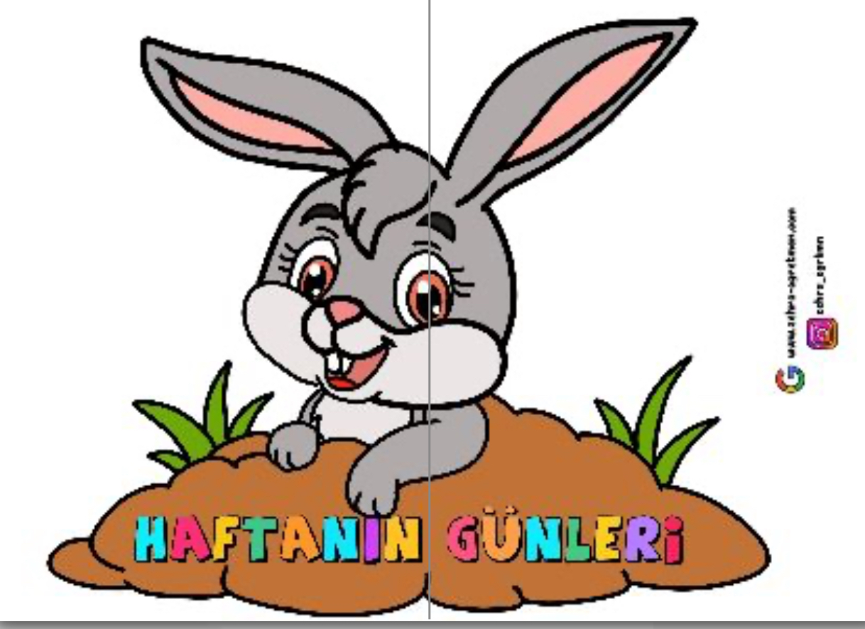 Haftanın Günleri Tavşan ( 2A4) RENKLİ