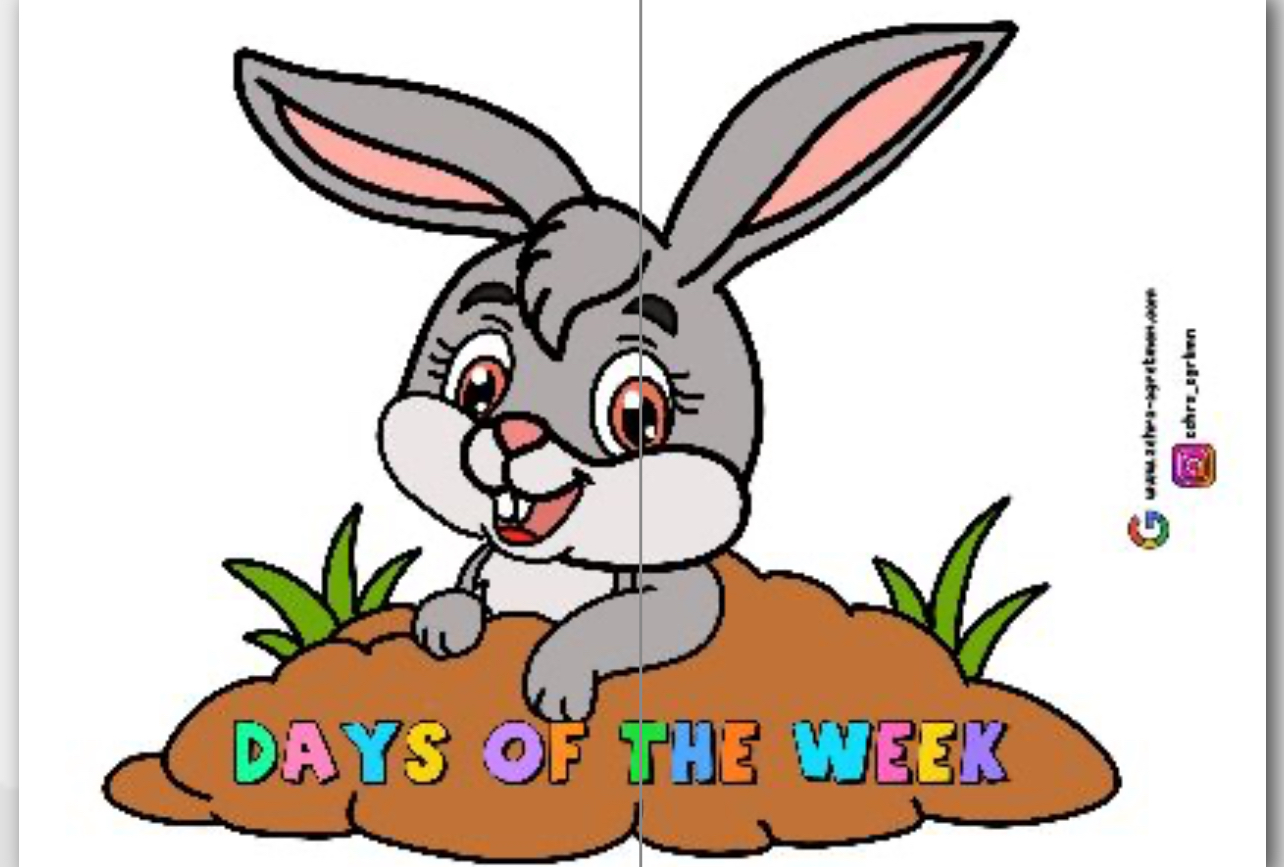 Days Of The Week  (2 A4 ) RENKLİ
