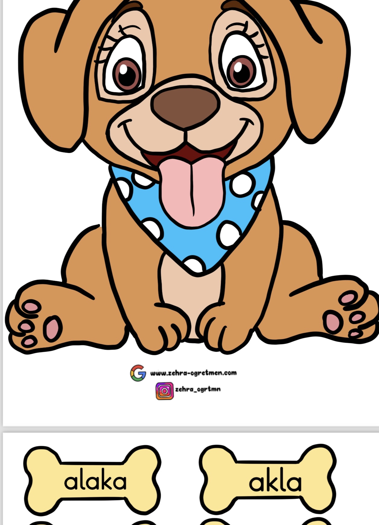 K Sesi Köpek Etkinliği 2023