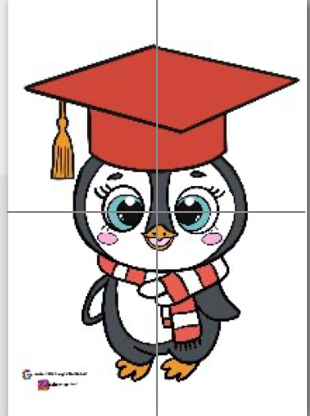 4 A4 Penguen 2 RENKLİ RENKSİZ