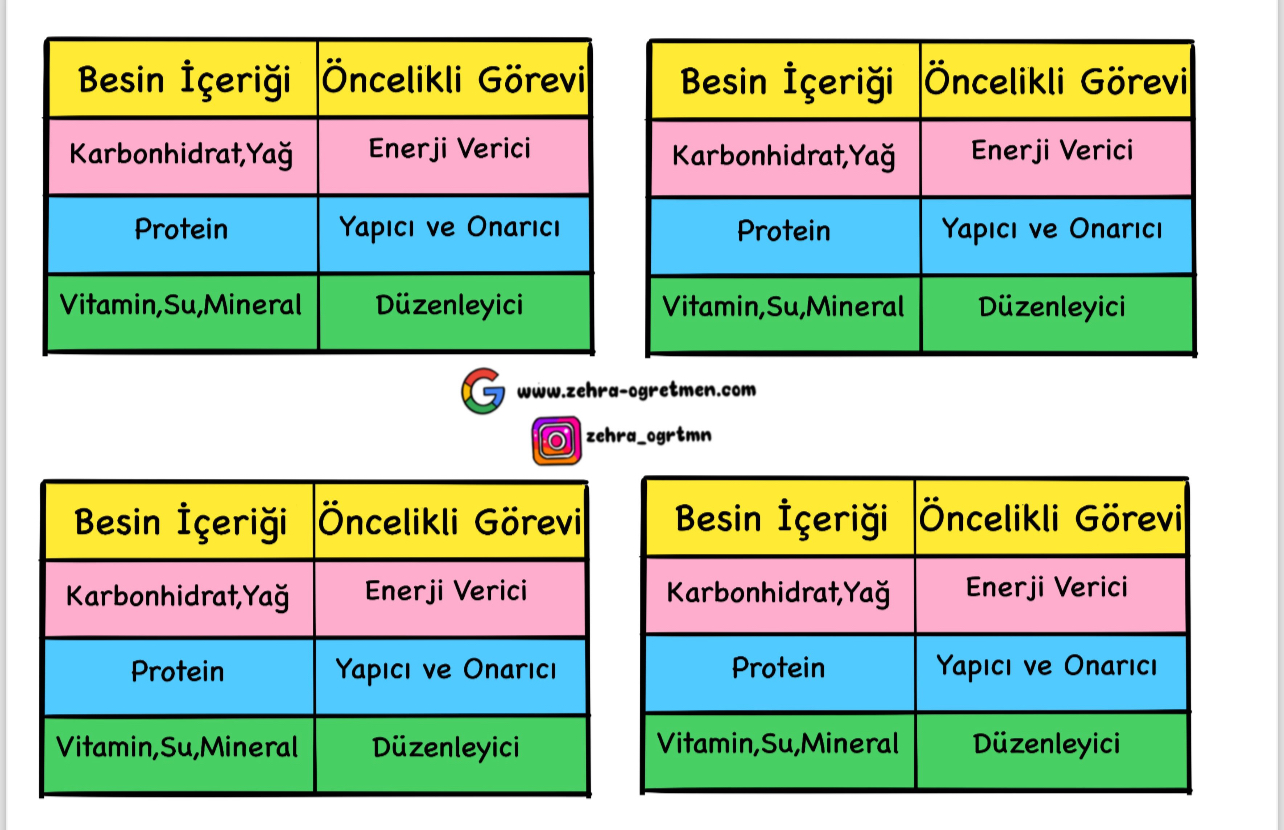Deftere Yapıştırmalık Besinlerin Görevleri