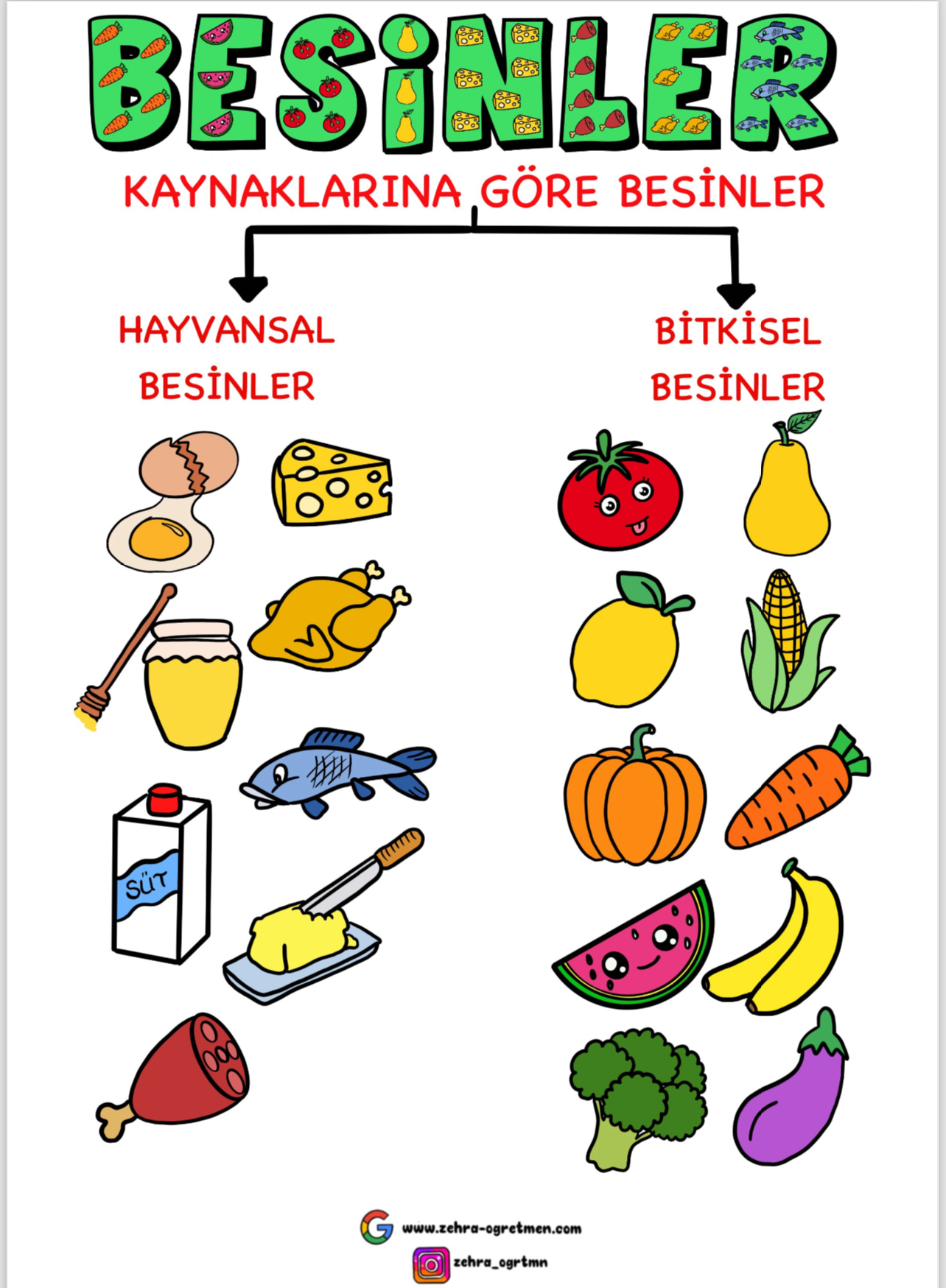 Kaynaklarına Göre Besinler ( Deftere Kes Yapıştır )
