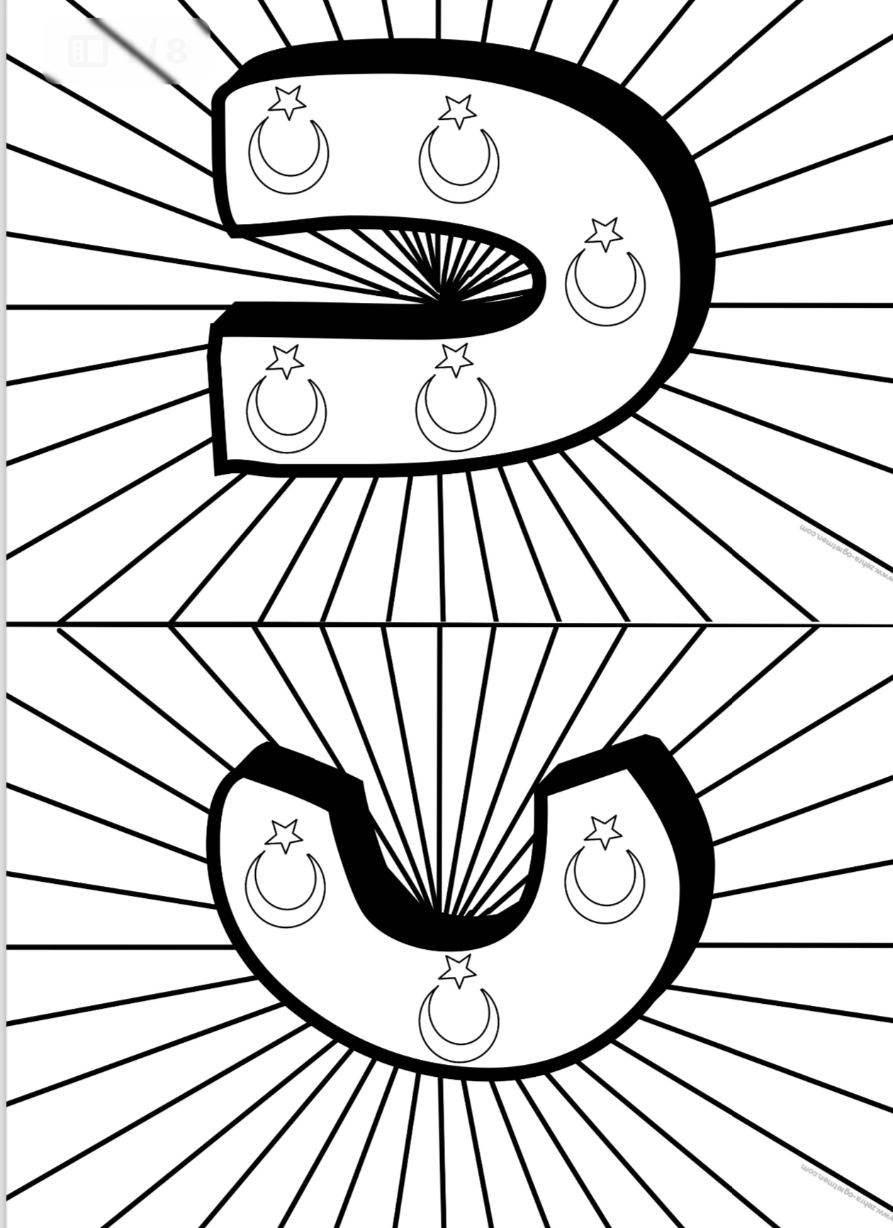 Cumhuriyet 100.Yıl ( Boyamalı Flama Boy)