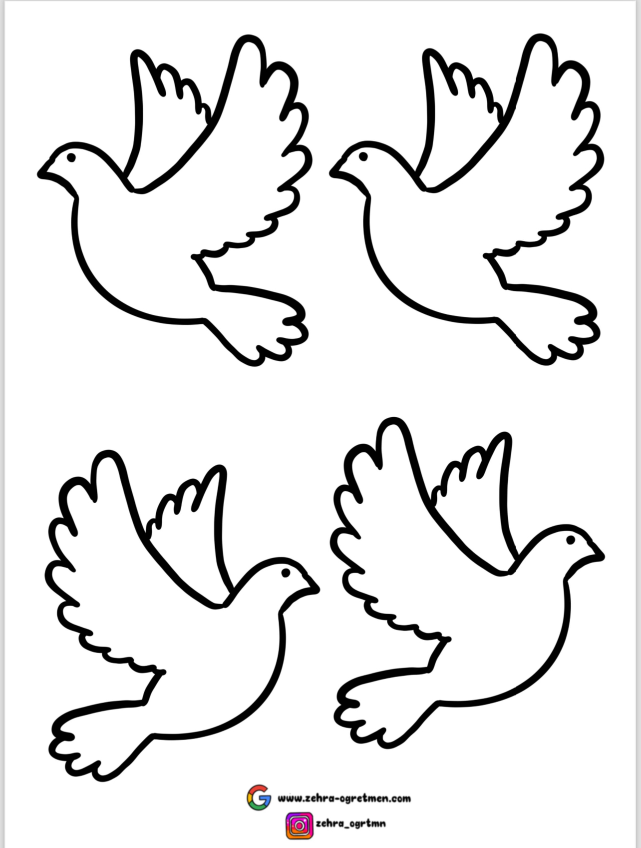 29 Ekim Pano 1 Güvercinler