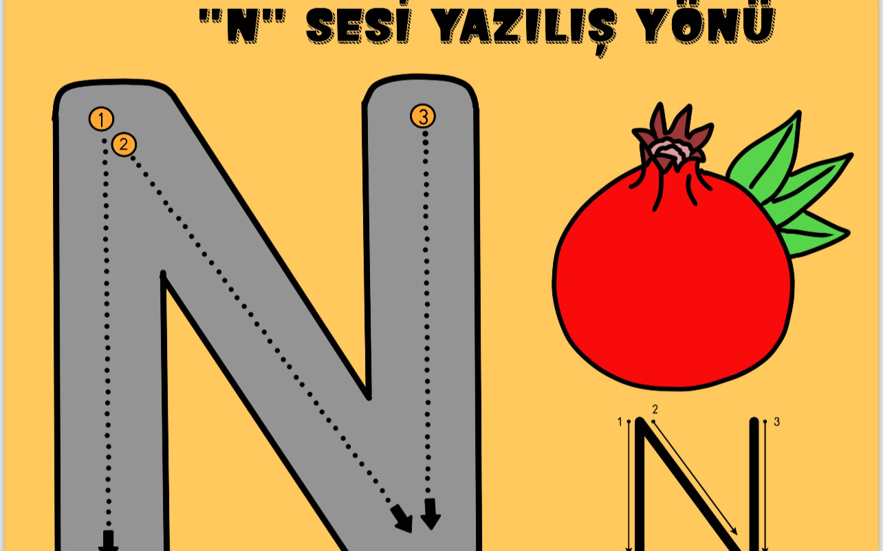 N Sesi Yazılış Yönü Etkinliği
