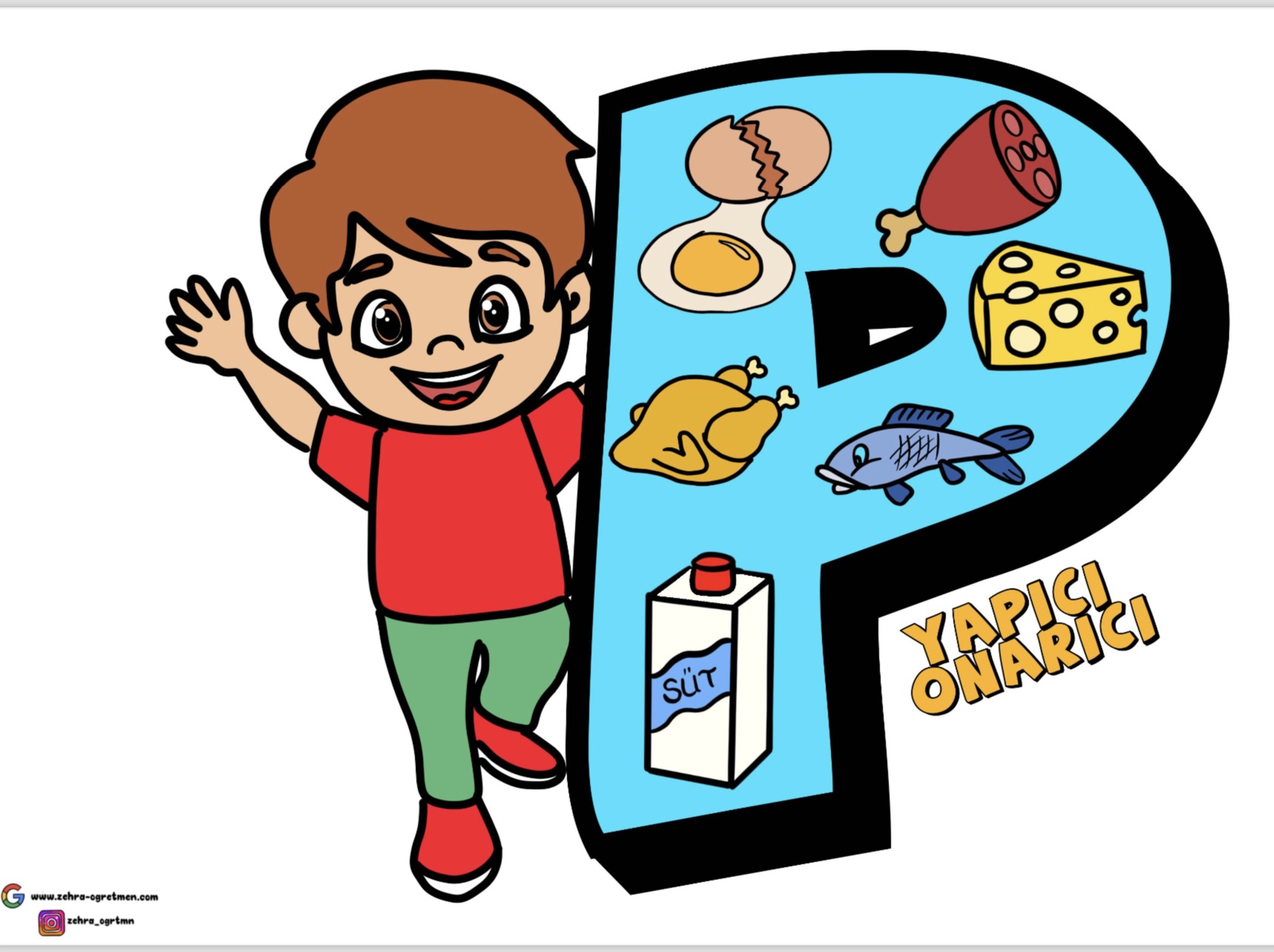 A4 Proteinler Karbonhidratlar Vitaminler Yağlar Su ve Mineraller ( PANO GÖRSELLERİ)