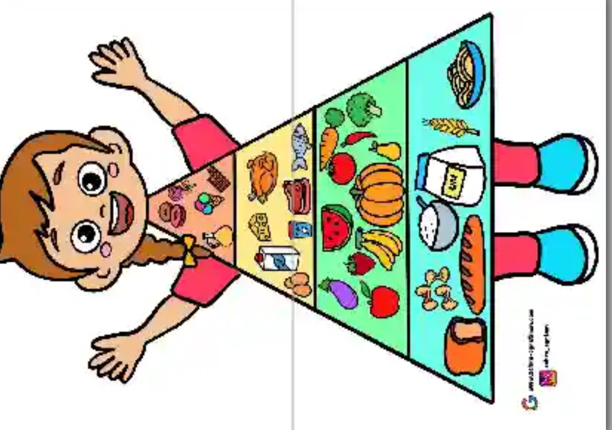 2. Konu Besin Piramidi Görselleri (2 A4)