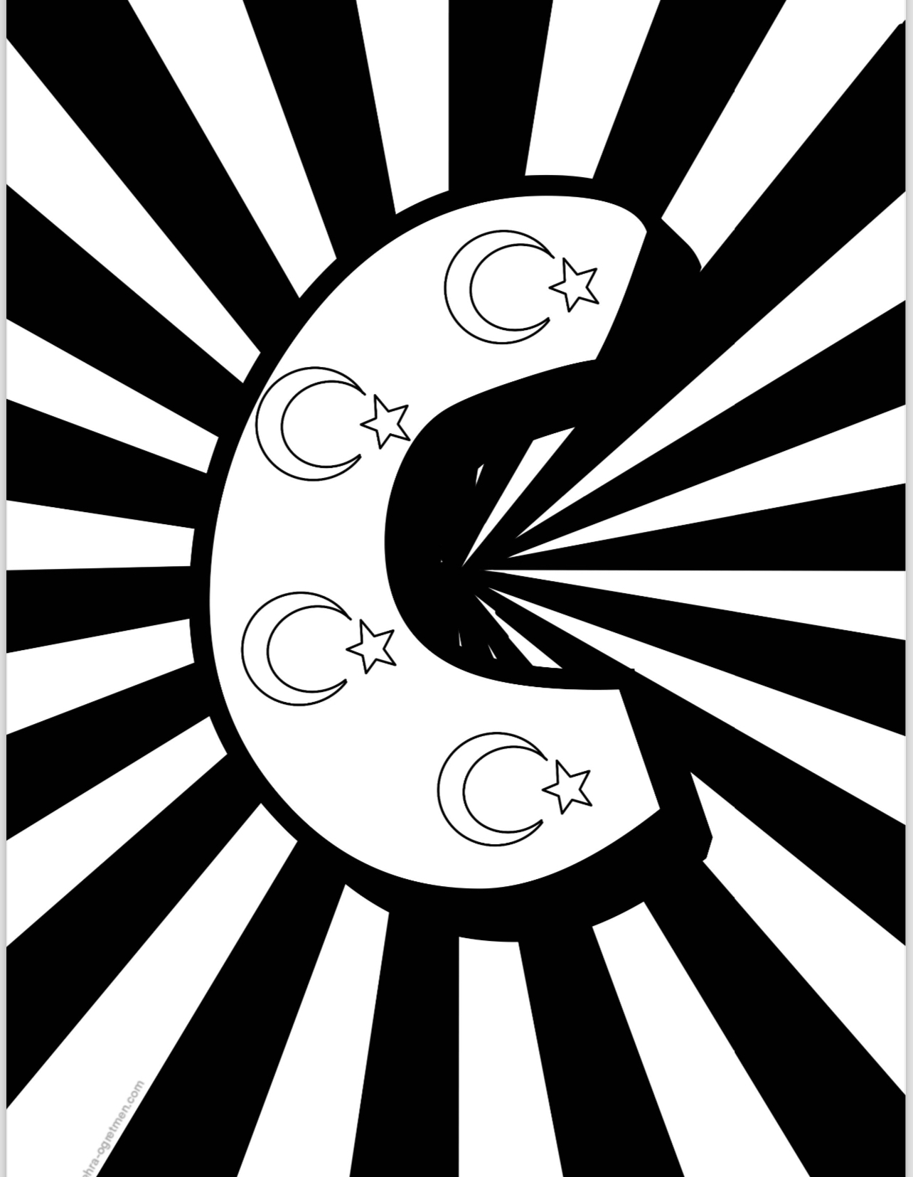 CUMHURİYETİMİZİN 100.YILI KUTLU OLSUN RENKSİZ