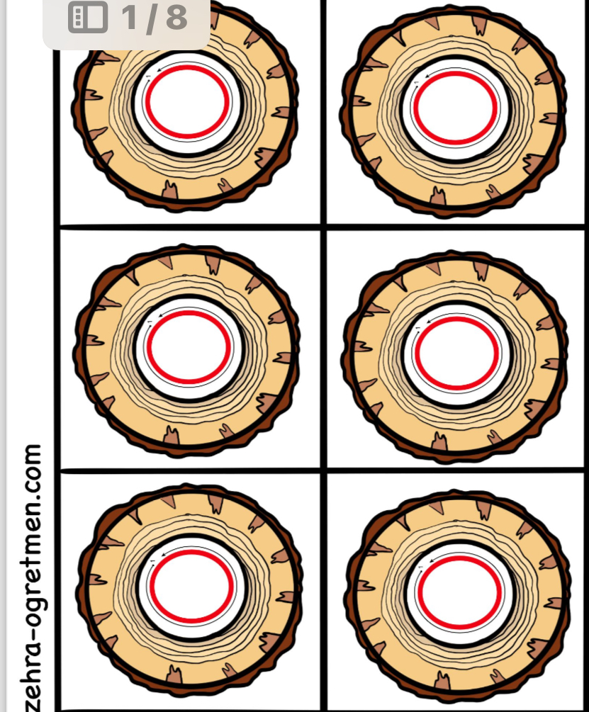 O Sesi Deftere Yapıştırmalık Görseller ( 15 24 30 48 Öğrenci İçin RENKLİ)